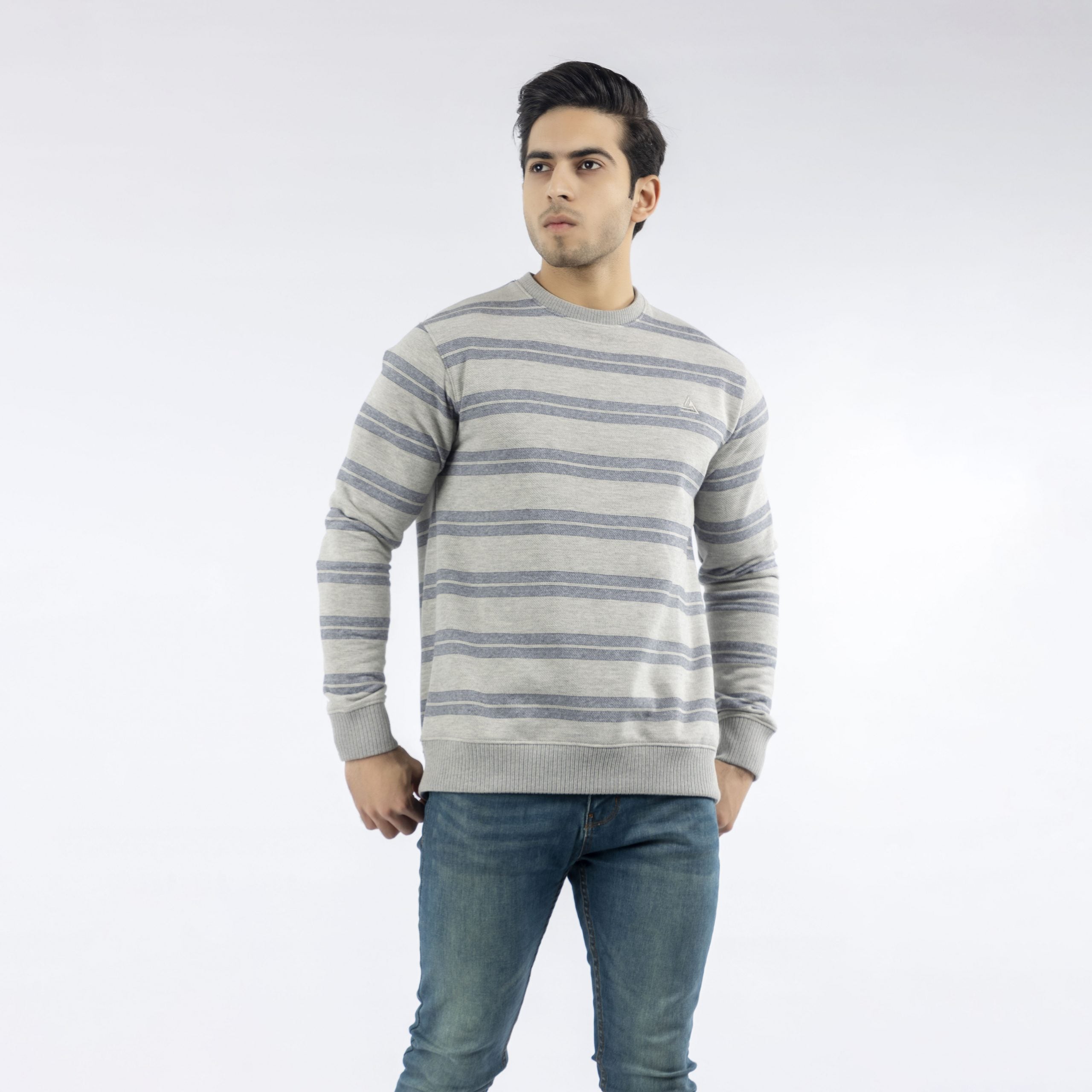 Blue Striped Sweatshirt